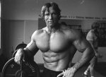 Schwarzenegger_01.jpg